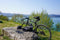 E-Gravel & E-Rennrad