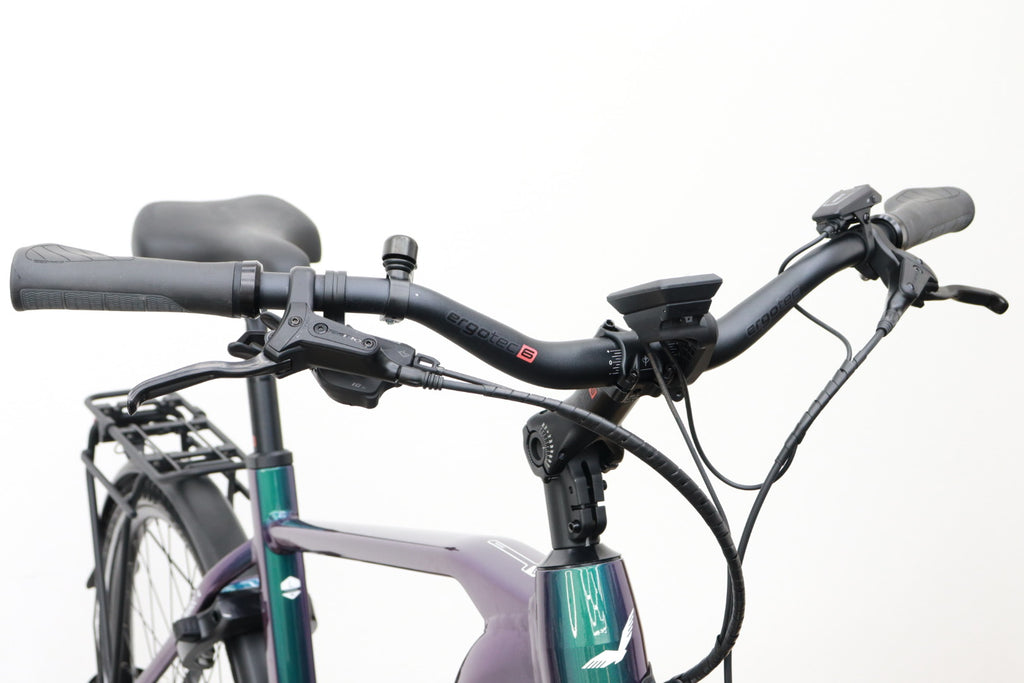 VICTORIA MANOC 4 E-Bike Bosch CX 85Nm 625Wh 28" L 58cm