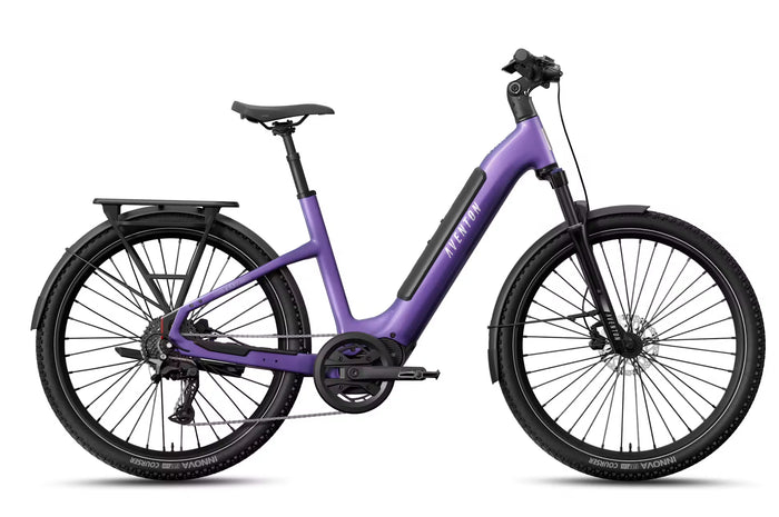 Aventon Trava ADV - Tiefeinsteiger