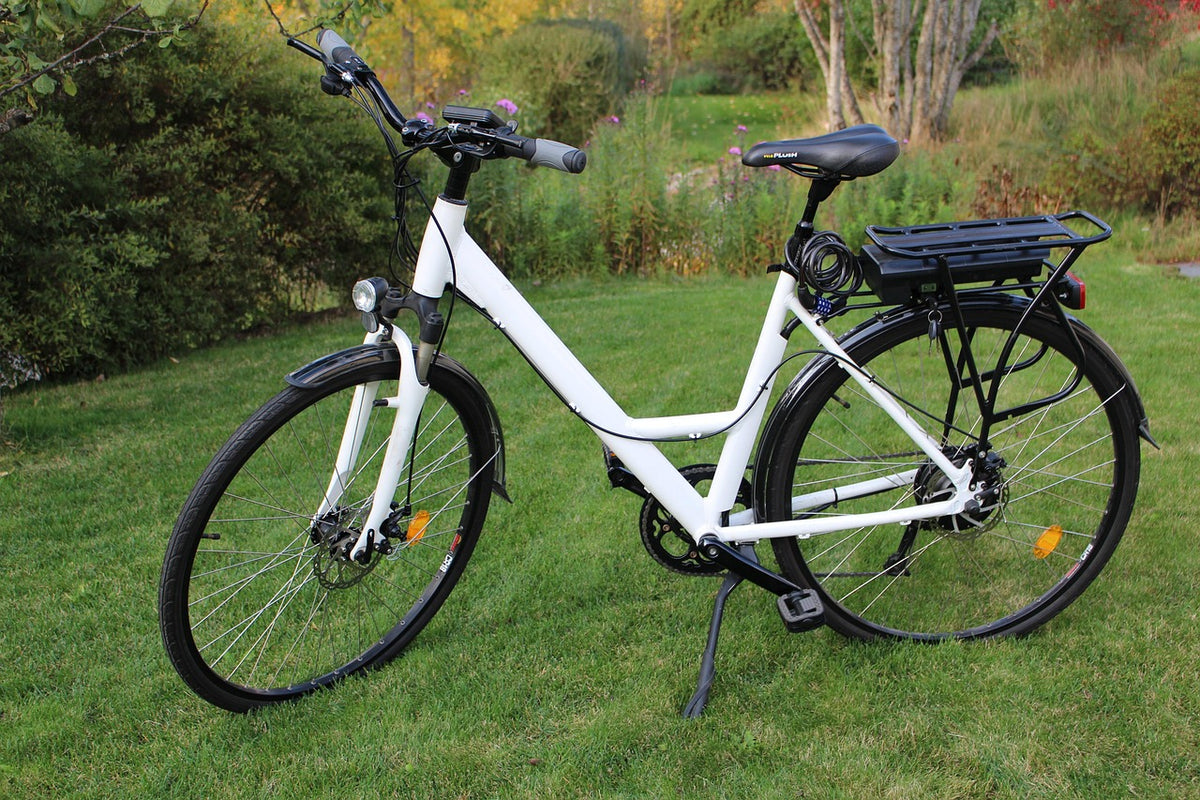 E-Bike steht im Garten vor dem Haus – Service bei dir vor Ort